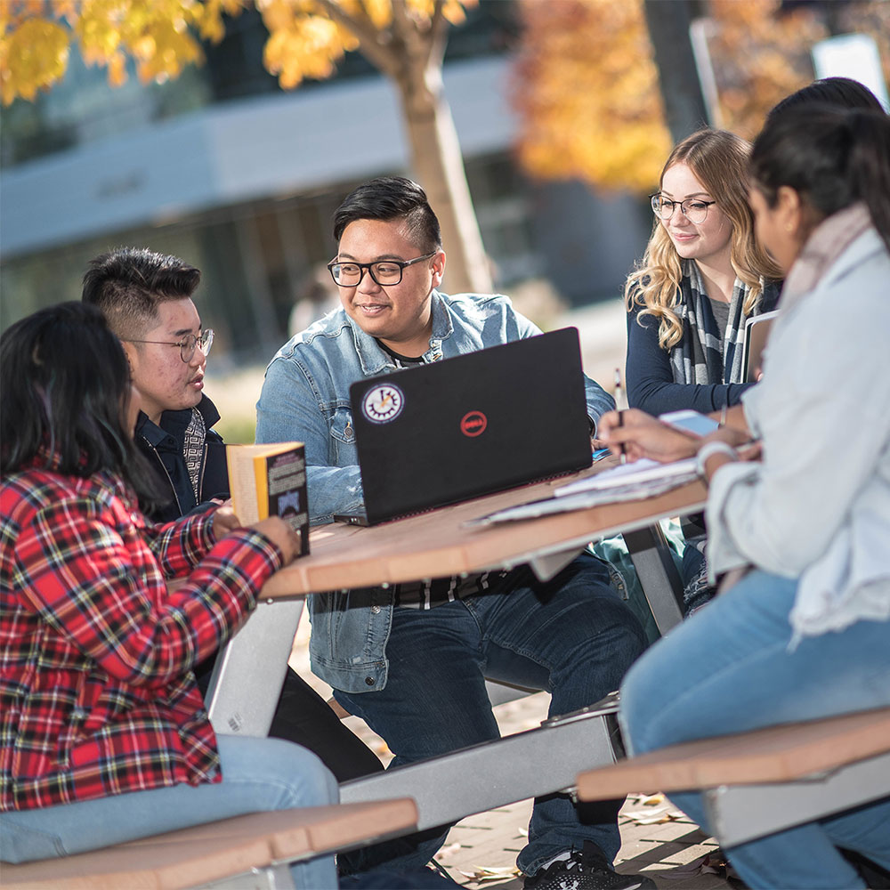 Students Studying Outdoors