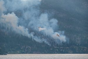 UBC experts on wildfires and associated issues
